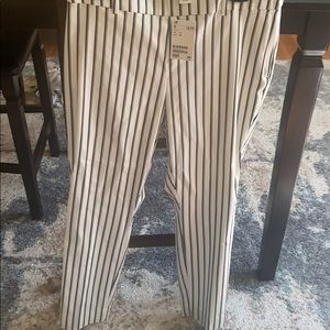 Striped dress pant